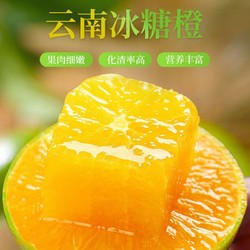 百果捞铺子 云南冰糖橙   净重4.5-5斤（单果100-120g）