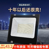 datouren 大头人 LED投光灯 100W 6500K冷白光 户外防水射灯