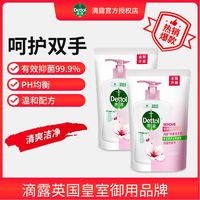 Dettol 滴露 洗手液450*2袋装补充装家用儿童成人促销庭装滋润抑菌替换装