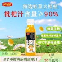 鲜绿园 枇杷汁90%鲜果生榨饮品果汁饮料低糖0脂肪浓缩果汁健康零食