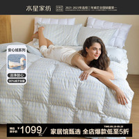 水星家纺 羽绒被 90%白鸭绒被子 A类防钻绒科技秋冬保暖鸭绒被芯加厚被 冬被(A类90白鸭绒)雪绒绒 150x210cm(适配1.2米床套件)