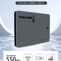 Great Wall 长城 1TB SSD固态硬盘 GW5600（SATA3.0接口 读速550MB/S台式机）