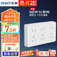 正泰（CHNT）明装插座墙壁面板二三插1-C11500A 强电系列1 十五孔插座