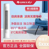 GREE 格力 京桂系列 FNhAa-B1 新一级能效 壁挂式空调