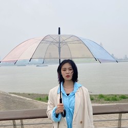 小清新彩虹透明长柄雨伞女学生韩版ins唯美简约雨伞半自动双人伞