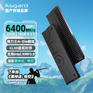 Asgard 阿斯加特 32GB(16Gx2)套 DDR5 6400 台式机内存条 雷神索尔马甲条适配黑神话悟空