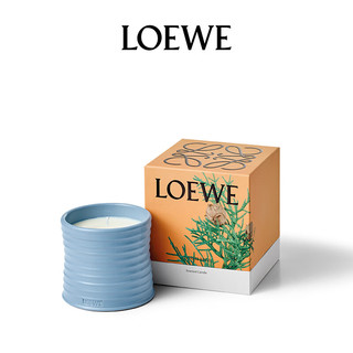 罗意威（LOEWE）柏树球香薰蜡烛170g小号物新婚送男女友 【温和木香】柏树球（小号）