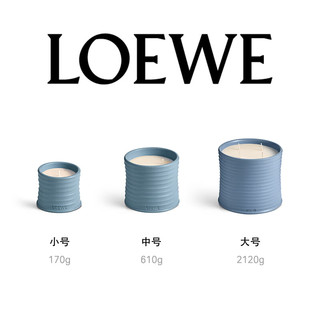 罗意威（LOEWE）柏树球香薰蜡烛170g小号物新婚送男女友 【温和木香】柏树球（小号）