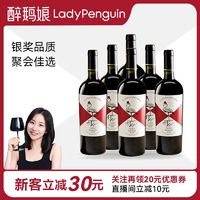 LADY PENGUIN 醉鹅娘 招牌红鸟智利梅洛干红葡萄酒高档女士红酒750ml  原瓶进口