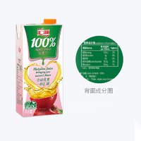 88VIP：汇源 100%苹果汁1000ml