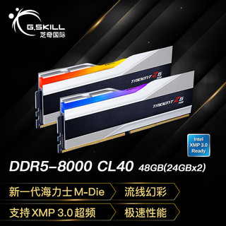 G.SKILL 芝奇 48GB(24Gx2) DDR5 8000 台式机内存条-幻锋戟RGB灯条(科技银)/Intel XMP/C40