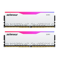 SEIWHALE 枭鲸 审判者台式电脑内存条DDR5 32GB(16GB*2) 6000MHZ套条RGB灯条