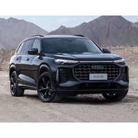 上汽奥迪 Audi 奥迪Q6