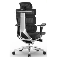 Ergomax 迩高迈思 Evolution2 PROMAX 人体工学椅 魅力黑