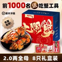 蟹爽爽 精品兴化大闸蟹 1.8-2.2两 全母8只 礼盒现货