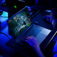 RAZER 雷蛇 灵刃18 十三代酷睿版 18.4英寸 游戏本