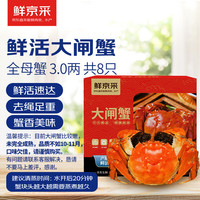 【活蟹】鲜京采鲜活大闸蟹 全母蟹3.0两 4对8只 去绳足重 死蟹包赔 螃蟹生鲜礼盒
