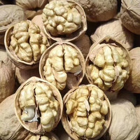 沙漠玉珠 23年原生态丑核桃新疆阿克苏185纸皮500克特产坚果零食薄皮无水洗 新疆185生核桃 500g 1袋