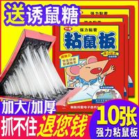 节青 粘鼠板强力家用老鼠贴灭鼠捕鼠驱鼠沾抓老鼠粘老鼠板胶一窝端