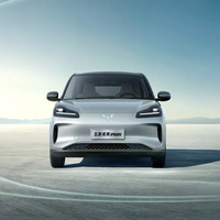 SGMW 上汽通用五菱 缤果PLUS 24款 510km 五座版