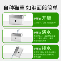 中农康畜 猫草种子籽自种懒人猫草袋装猫咪磨牙洁齿化毛草冬天