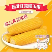 农投康良 东北黄糯玉米240-280g10棒