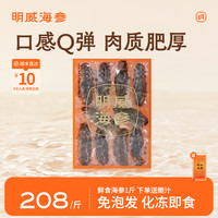 mw 明威 即食海参500g深海辽刺参非鲜活海鲜刺参礼盒装