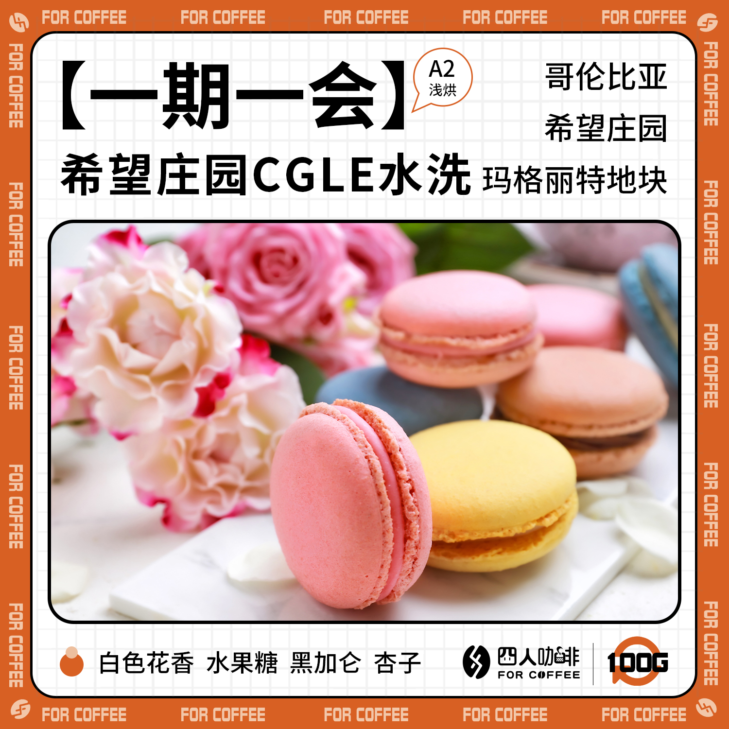 哥伦比亚 希望庄园CGLE 水洗 浅烘手冲咖啡豆 100g