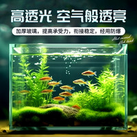 俱馨 超白玻璃鱼缸小型客厅2024新款玻璃小鱼缸生态溪流缸斗鱼缸金鱼缸