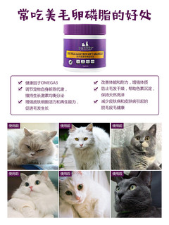 猫卵磷脂美毛爆毛布偶亮毛英短美短卵磷脂成猫幼猫