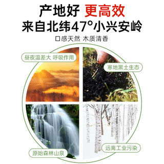 天然白桦树汁原液100%原汁植物饮料非浓缩长白山原液