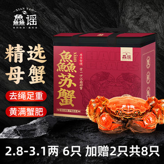 XIAN YAO 鱻谣 大闸蟹 全母2.8-3.1两 3对6只（加赠2只，到手8只）去绳足重 鲜活螃蟹生鲜蟹类 礼盒装