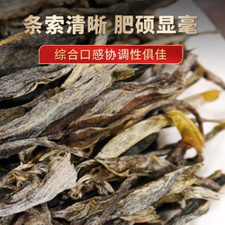 金星满天 老班章普洱茶生茶散茶2024新茶云南勐海布朗山古树春茶生普茶散茶 精选原料老班章250g散茶