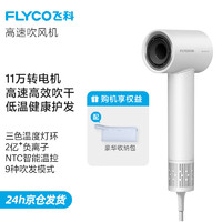 FLYCO 飞科 电吹风机高速家用轻音负离子大功率不伤发七夕礼物吹风筒宿