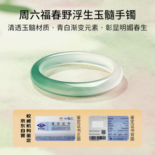 周六福半山半水玉髓手镯深白绿宽条新中式J1013552 58mm 