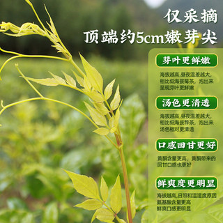 福东海百年 张家界特级芽尖莓茶35g 送品鉴装