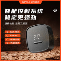 QICYCLE 骑记 A1车载充气泵智能有线款汽车充气泵打气泵车载汽车打气泵 A1车载充气泵[不伤车的充气泵] 有线智能冲停充气泵