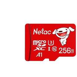 Netac 朗科 JOY TF(MicroSD)存储卡 256GB