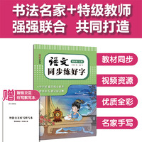 小学语文同步练字帖 一二三四五六年级上册 小学生语文课本同步听写默写本练字帖写字课课练专项训练硬笔中性钢笔正楷生字笔顺书法