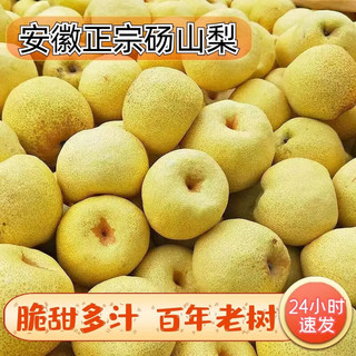 鲜其 正宗 砀山梨10斤装 特大果350G+