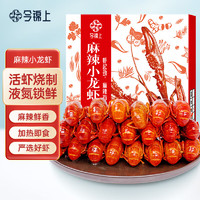 今锦上 麻辣小龙虾 中号 1.5kg