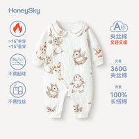 HoneySky 哈尼天空 婴儿夹棉连体衣秋冬外出薄棉新生儿衣服连身衣宝宝哈衣 欢兔云 90cm(1-2岁)