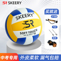 斯凯睿 排球中考专用5号排球成人青少年中学生+打气筒