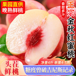 恋果岭江苏金秋红蜜水蜜桃当季新鲜水果 净重4斤单果200g+源头包邮