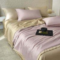 Mian 眠度 A类空调被夏季天丝夏凉被60支纯色轻奢单人宿舍冰丝可水洗裸睡 复古橡粉 200