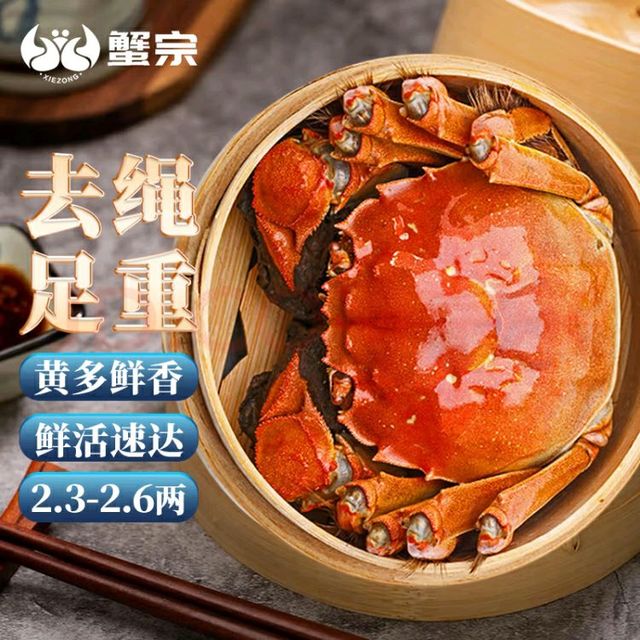 蟹宗 大闸蟹固城湖鲜活螃蟹现货全母2.3-2.6两8只海鲜生鲜国庆礼品海产礼盒