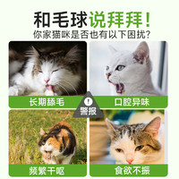 KUANFU 宽福 冻干猫草棒磨牙棒猫咪零食化毛球排毛成猫幼猫即食猫草粒洁齿