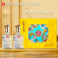 WULIANGYE 五粮液 一尊天下 52%vol 浓香型白酒 500mL*2瓶 龙年礼盒