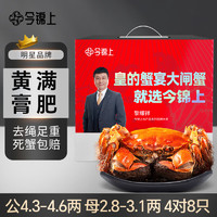 今锦上 大闸蟹鲜活螃蟹礼盒公4.3-4.6两母2.8-3.1两4对8只精品国庆礼品去绳足重