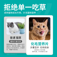 TaoMu 淘牧 化毛球片猫草片消化吐毛球猫咪用化毛膏化猫片华畜营养维生素